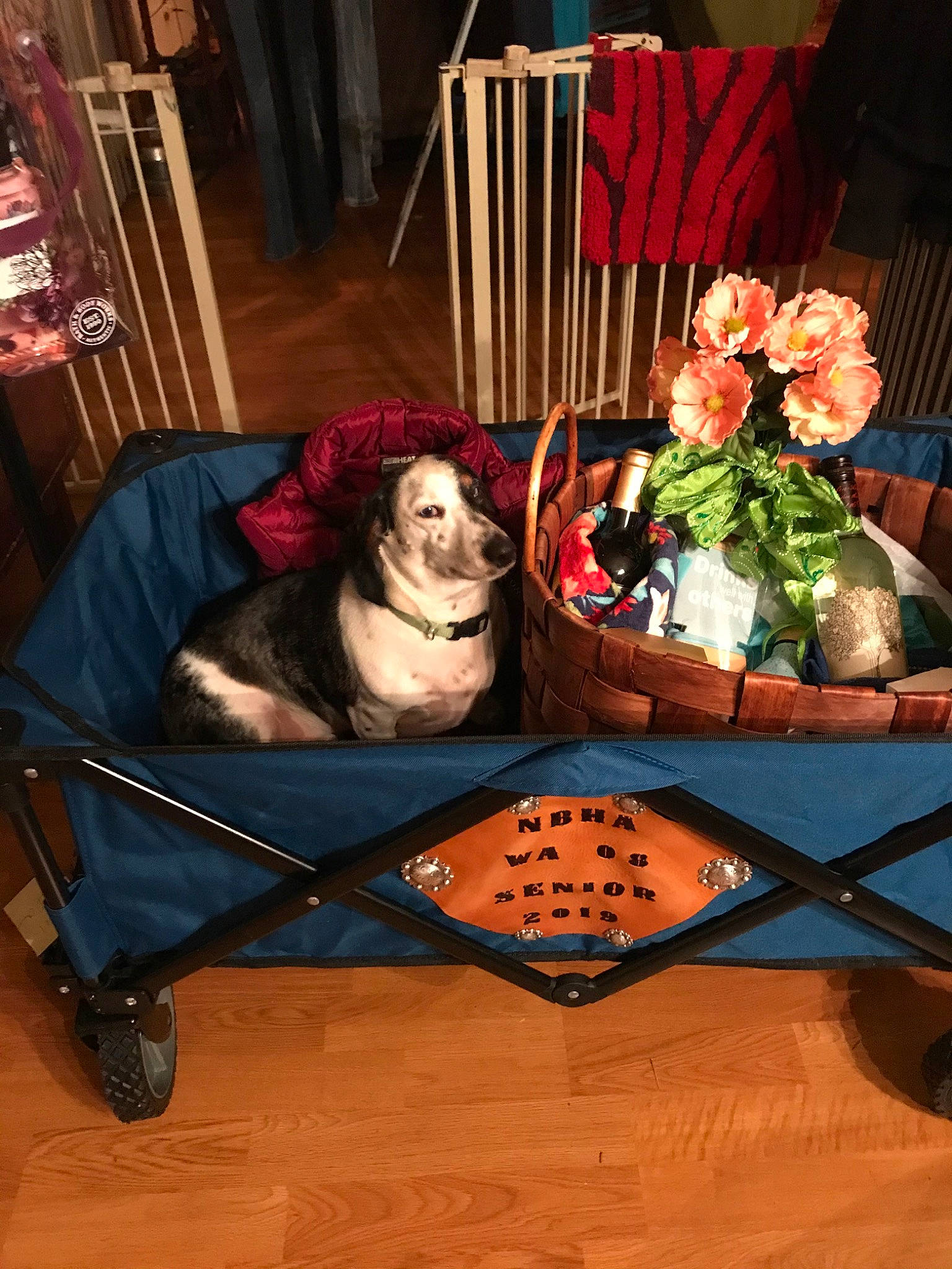 Snoop joined the competition — help win amazing prizes! canidae, cart, table