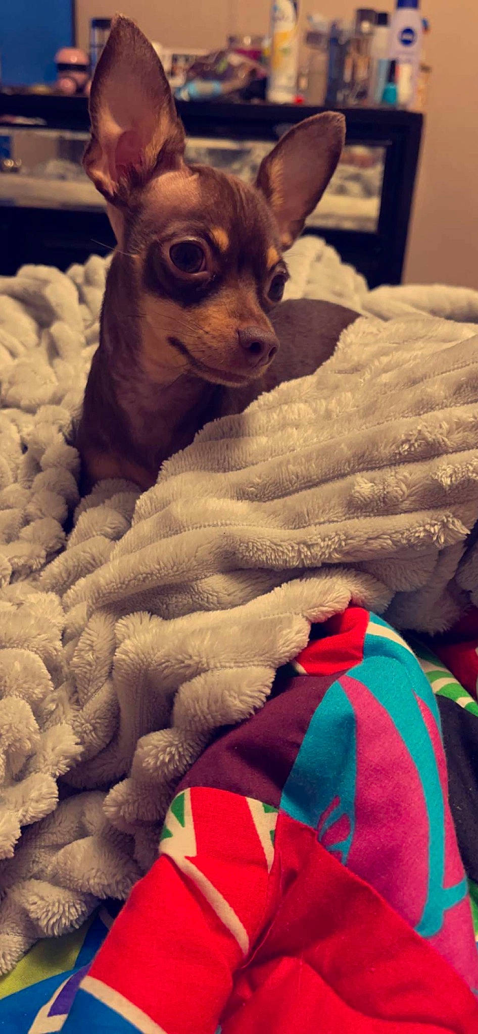 Diva