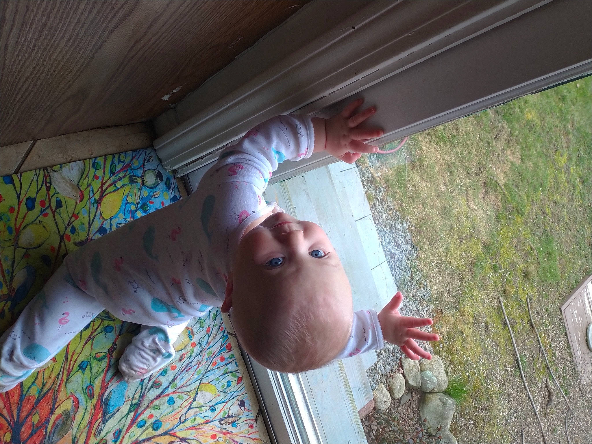 Rowynn is registered to the contest to win money with this photo: arm, baby, ceiling, elbow, eye, finger, foot, fun, gesture, grass, hand, human_leg, leisure, linens, nail, pattern, person, plant, thumb, toddler