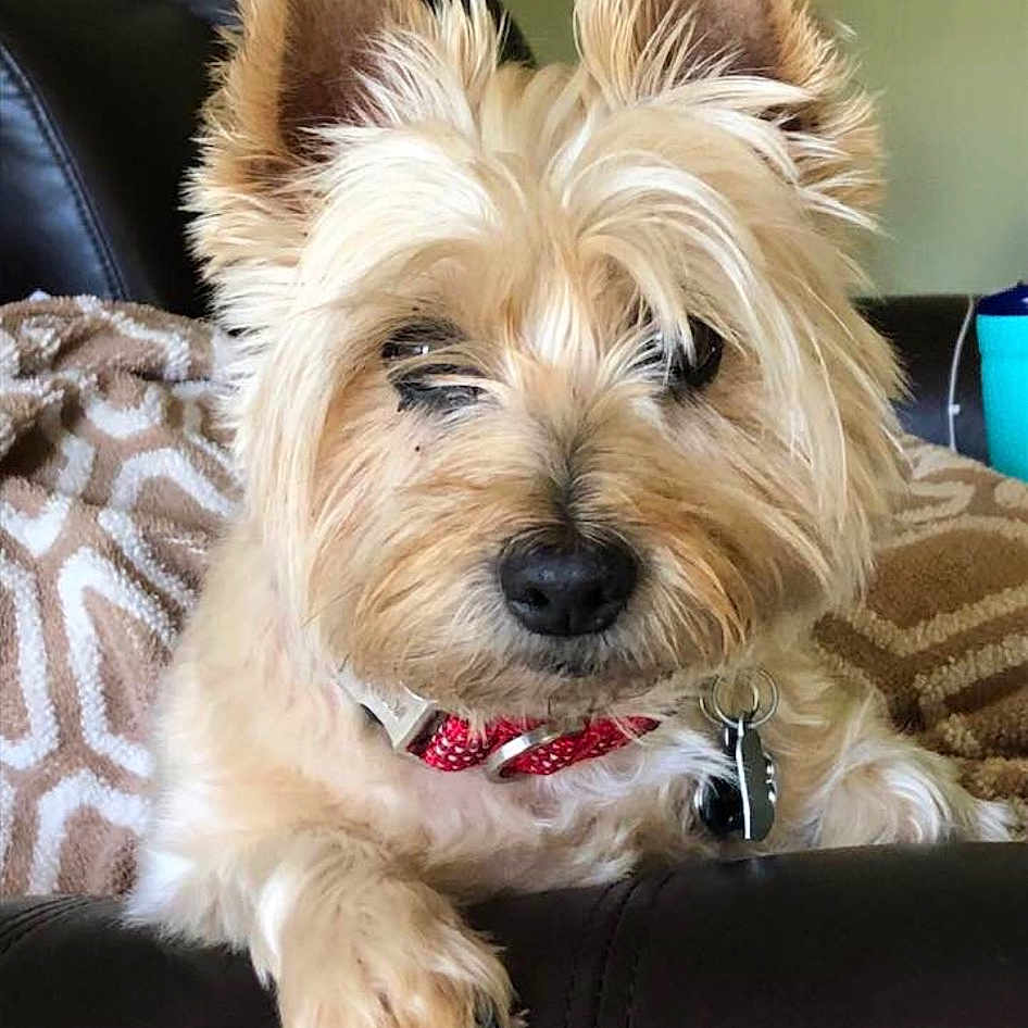 Millie
