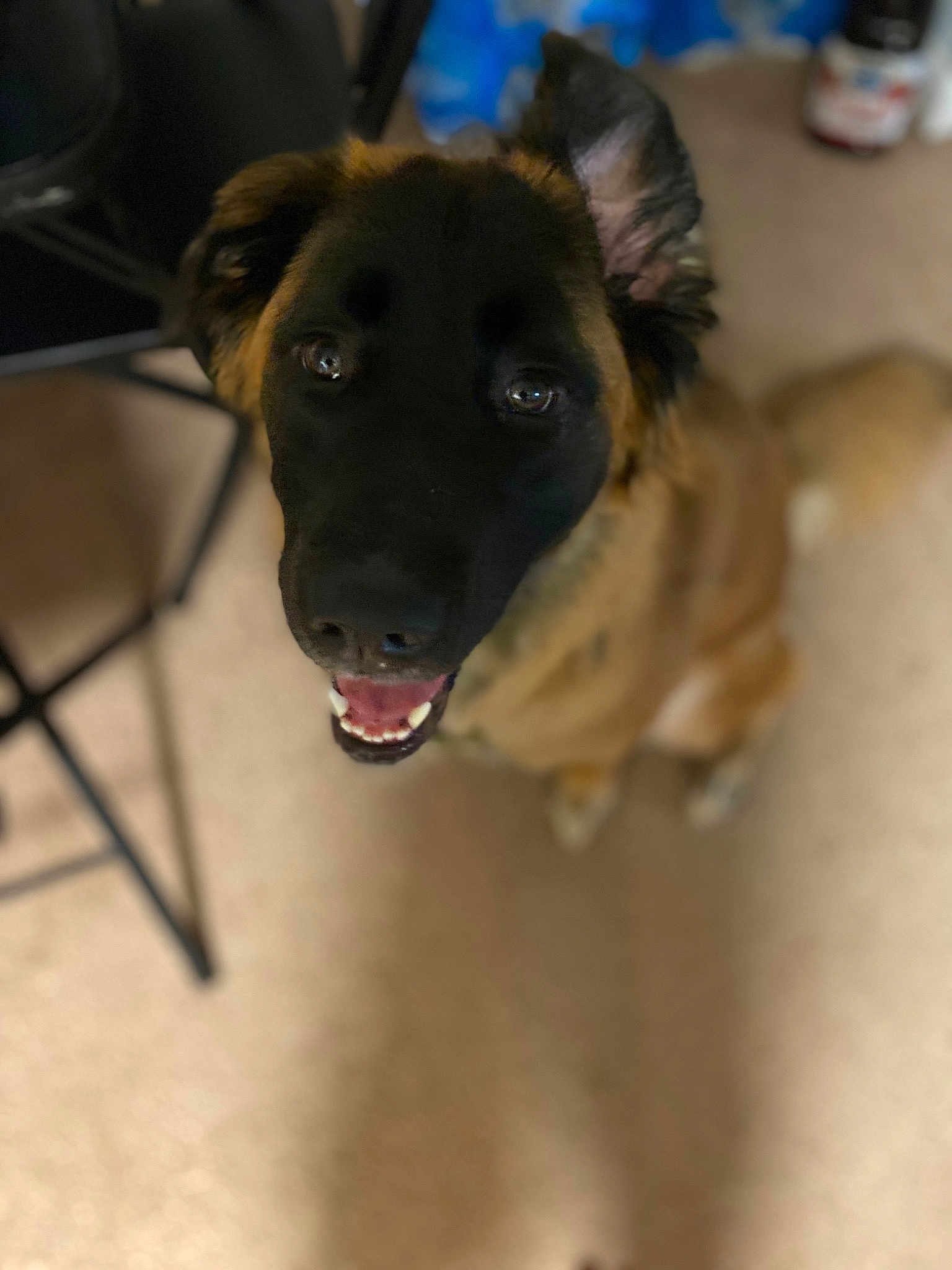 Delilah