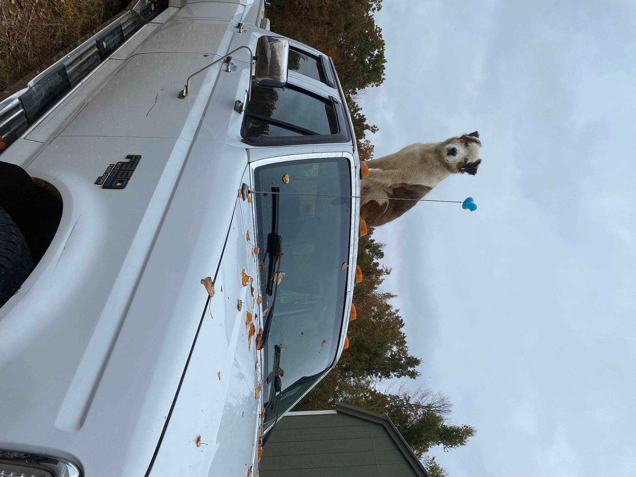 Bourbon is registered to the contest to win money with this photo: automotive_design, automotive_exterior, automotive_lighting, automotive_parking_light, automotive_tire, bumper, car, cloud, fender, headlamp, hood, mode_of_transport, motor_vehicle, sky, tire, tree, vehicle, vehicle_door, wheel, window