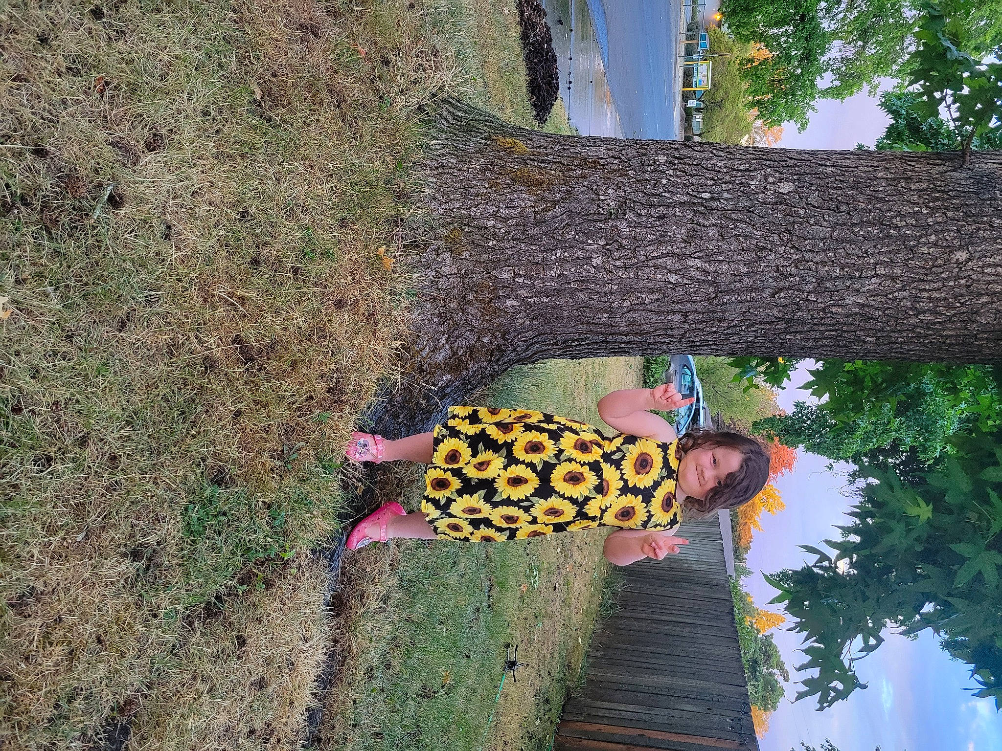 Madalynn is registered to the contest to win money with this photo: branch, fun, grass, joy, leisure, pattern, people_in_nature, person, plant, sky, soil, tints_and_shades, tree, trunk, visual_arts, wood