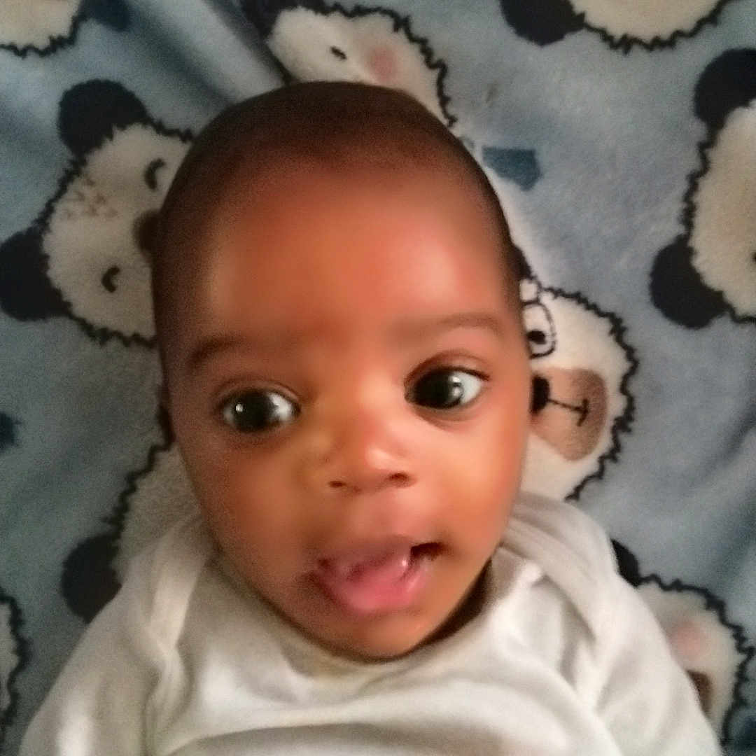 A-Love joined the competition — help win amazing prizes! animal, baby, bird, blanket, bodypart, face, finger, furniture, hand, happy, head, laughing, mouth, newborn, penguin, person, photography, portrait, selfie, smile