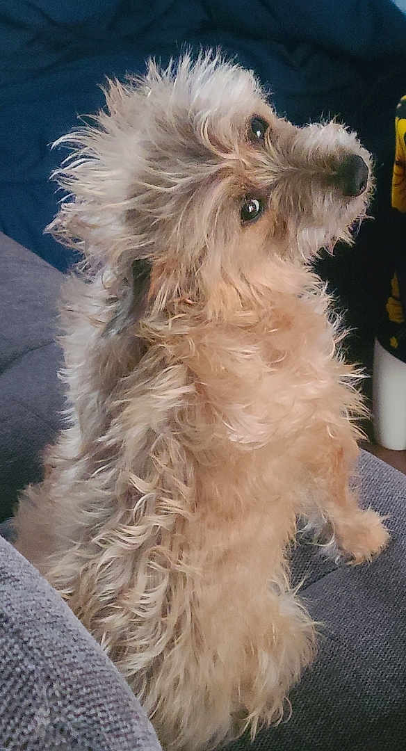 Pico Frederico Kennedy