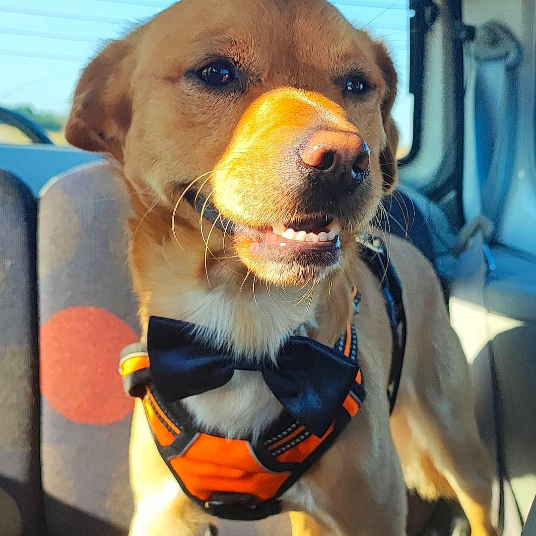 Milo