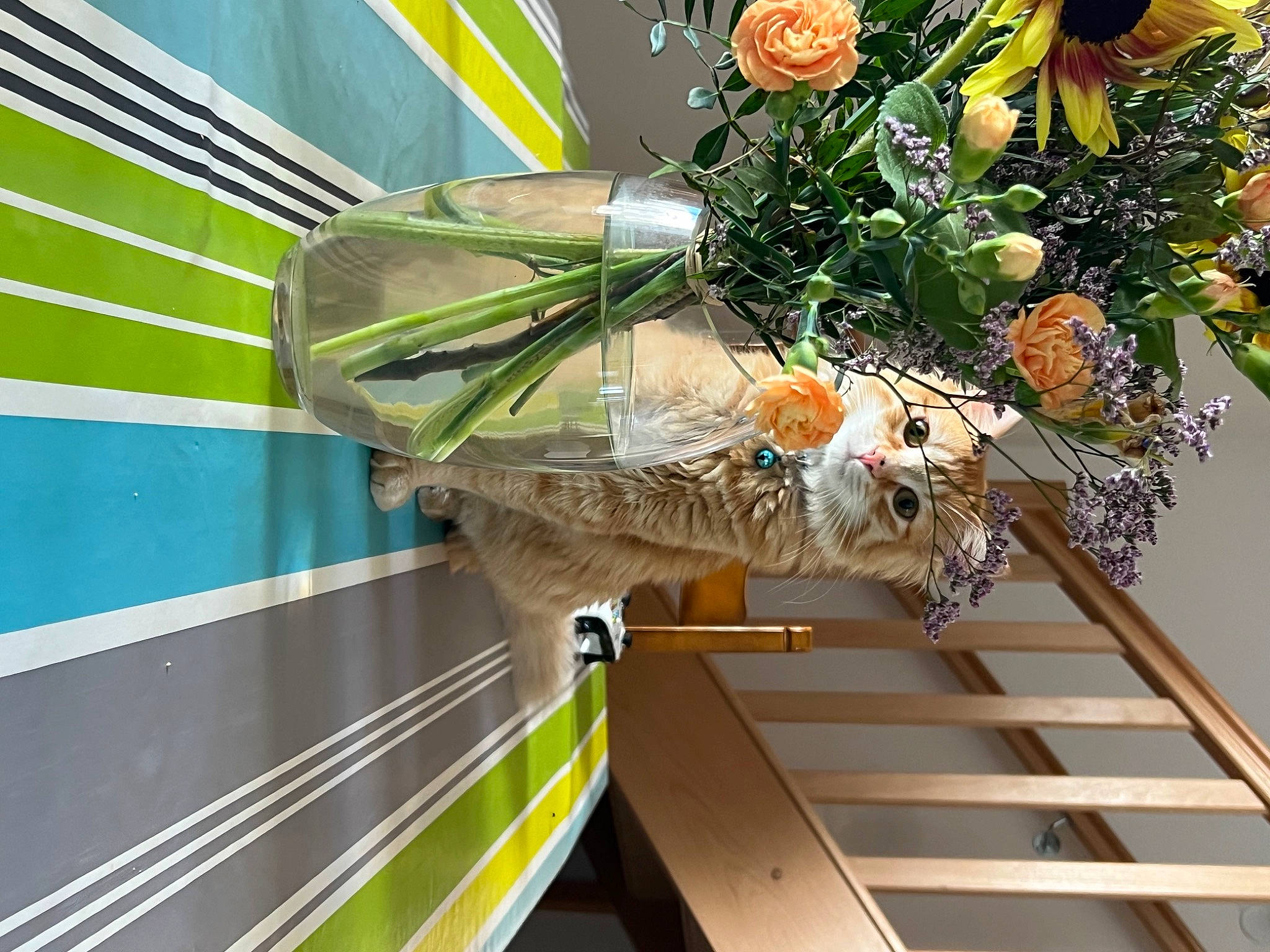 Rouxy a rejoint le concours — aidez-le/la à gagner de superbes lots ! artificial_flower, automotive_lighting, bouquet, cut_flowers, event, floral_design, flower, flower_arranging, flowerpot, grass, hardwood, motor_vehicle, ornament, plant, public_transport, twig, vehicle, vehicle_door, wood, yellow