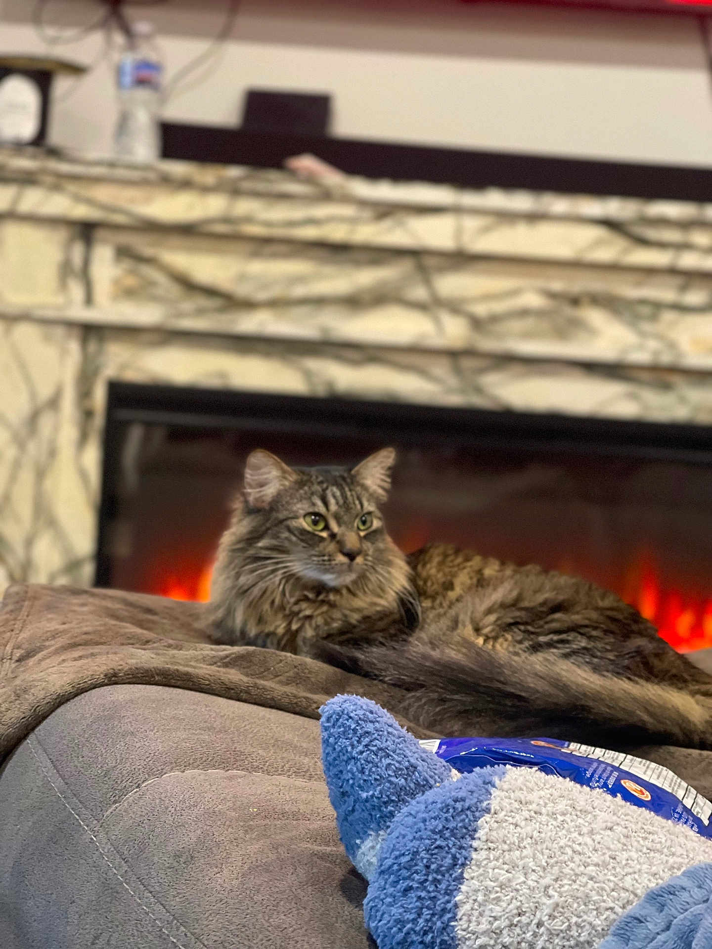 Milliana is registered to the contest to win money with this photo: ambient_light, blanket, cat, couch, cozy, fireplace, fur, green_eyes, indoor, living_room, mantle, marble_mantel, pet, pet_portrait, plush_toy, relaxed, snack_bag, tabby_cat, water_bottle, whiskers