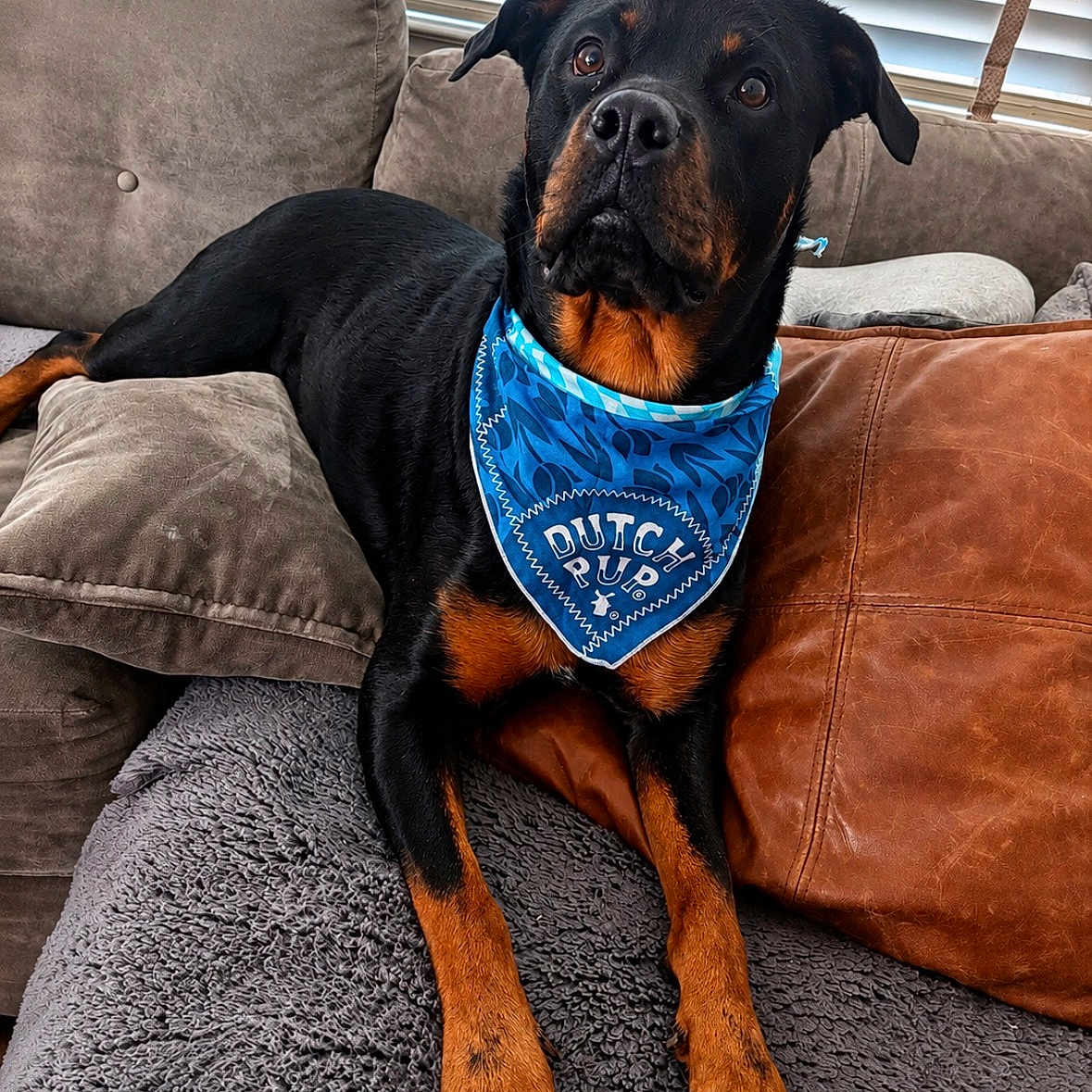 Chloe