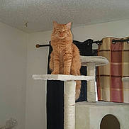Knapps is registered to the contest to win money with this photo: