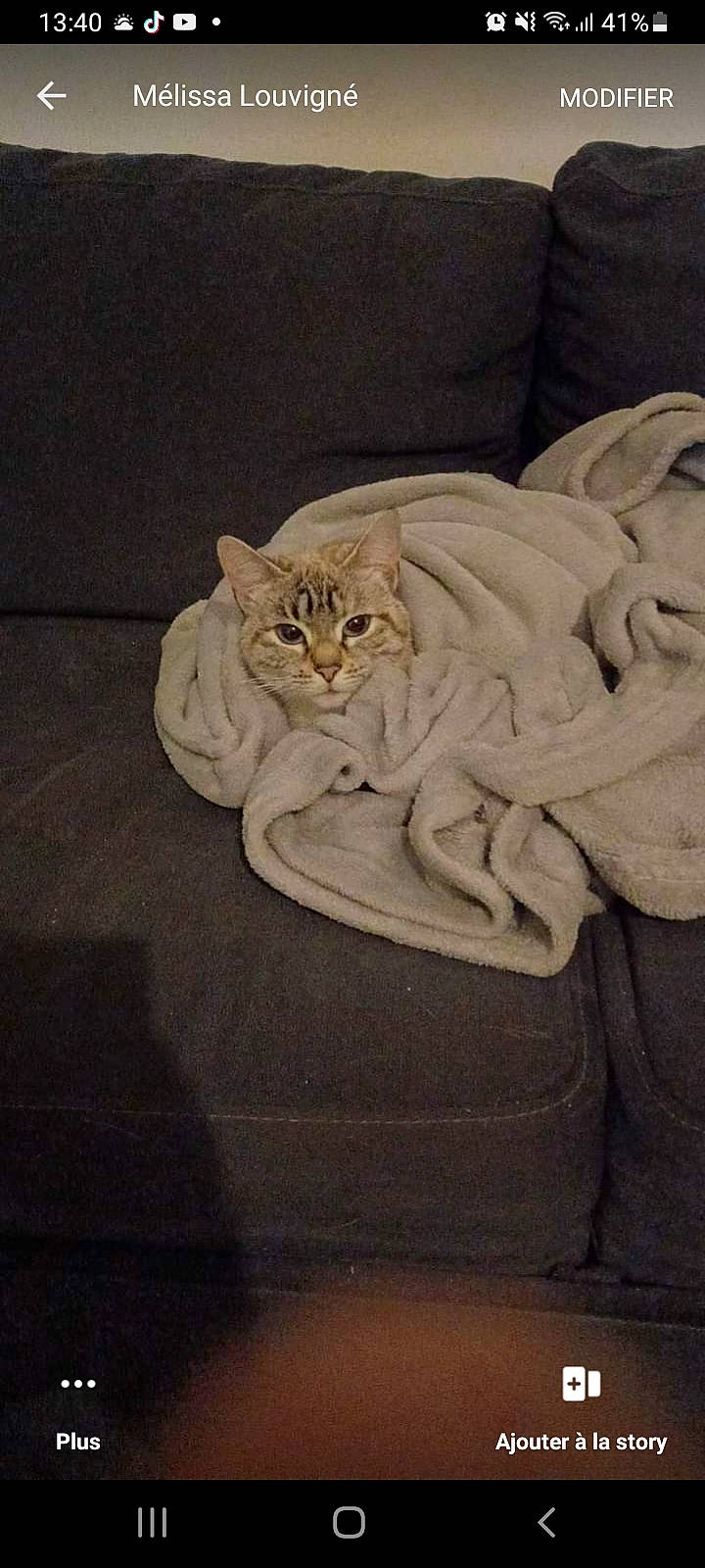 Rubi participe au concours pour gagner de l'argent avec cette photo : bed_sheet, bedding, carnivore, cat, comfort, domestic_short_haired_cat, felidae, flooring, fur, grey, linens, pattern, paw, sand, sleeve, small_to_medium_sized_cats, tail, whiskers, window, wood