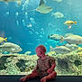 Seven is registered to the contest to win money with this photo: aquarium, aquatic, baby, blue, child, curious, exploration, fish, indoor, marine_life, nature, ocean_life, portrait, rock, sea_creatures, sitting, small_child, toddler, underwater, water