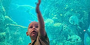 Seven joined the competition — help win amazing prizes! aquarium, blue, casual_clothing, child, curious, exploration, fish, glass, indoor, marine_life, nature, reaching, rocks, sea_creatures, sitting, tank, toddler, underwater, water, young_child