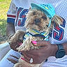 Leo Kareem Lilly is registered to the contest to win money with this photo: cap, casual, clothing, dog, grass, hand, holding, nails, outdoor, person, pet, pink_nails, portrait, ring, ripped_jeans, sitting, small_dog, summer, watch, white_shirt