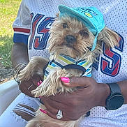 Leo Kareem Lilly joined the competition — help win amazing prizes! accessories, cap, casual_clothing, close_up, cute, dog, grass, hand, holding, outdoor, person, pet, pink_nails, ring, ripped_jeans, sitting, small_dog, striped_shirt, watch, white_jersey
