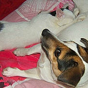 Athéa participe au concours pour gagner de l'argent avec cette photo :