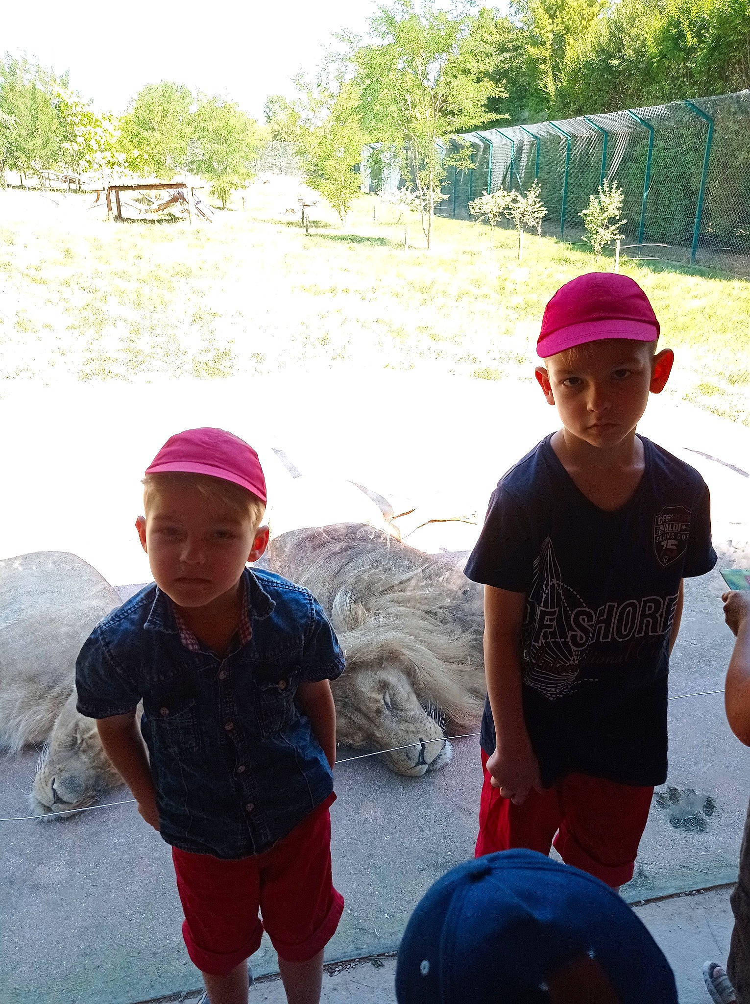 Heaven participe au concours pour gagner de l'argent avec cette photo : baseball_cap, cap, child, fun, happy, headgear, headwear, landscape, leisure, person, plant, recreation, red, shorts, sky, smile, summer, t_shirt, toddler, travel