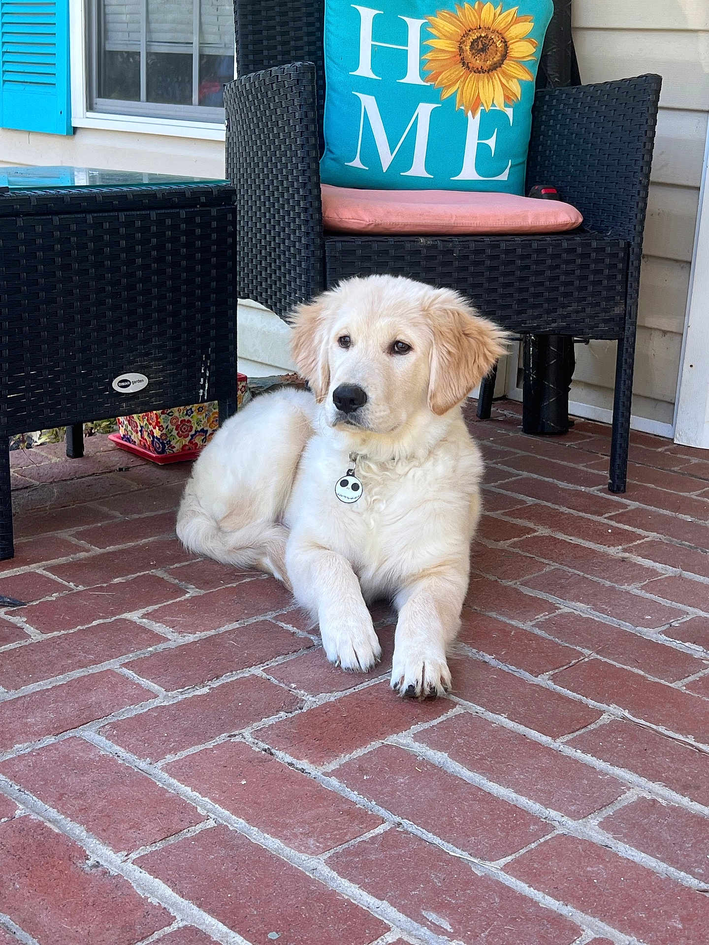 Brinkley