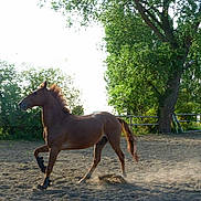 Kanjé's pepjin participe au concours pour gagner de l'argent avec cette photo :
