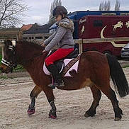 Chocolat de buterne participe au concours pour gagner de l'argent avec cette photo :