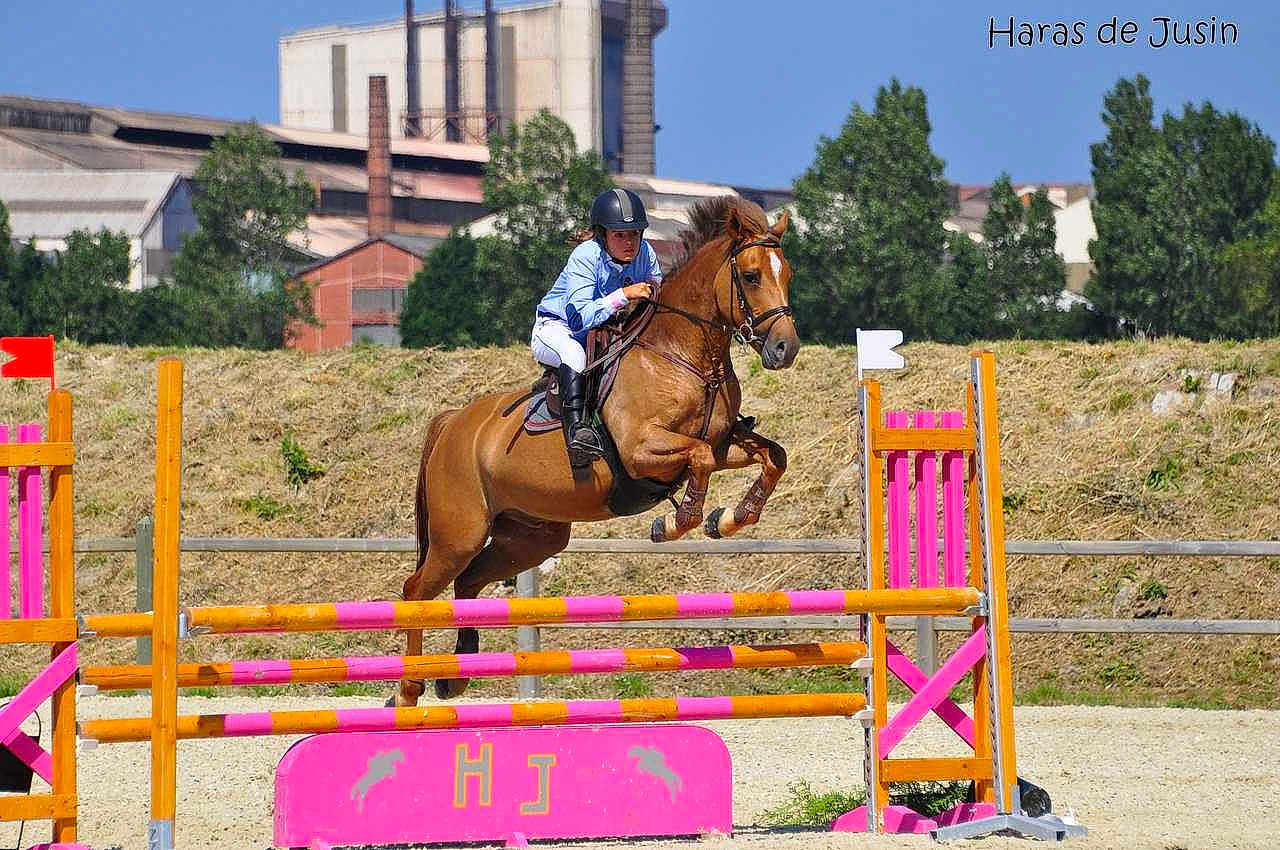 Oslo de l'aumont participe au concours pour gagner de l'argent avec cette photo :
