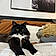 Berlioz