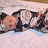 Harley is registered to the contest to win money with this photo: art, child, comfort, costume, freezing, fur, linens, military_camouflage, pattern, personal_protective_equipment, snow, toddler, visual_arts, winter