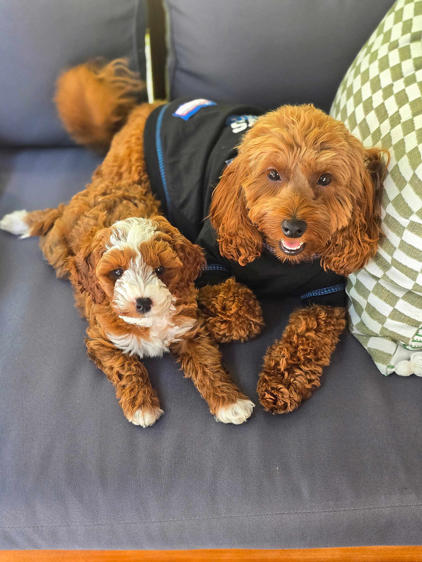 Raya And Remi