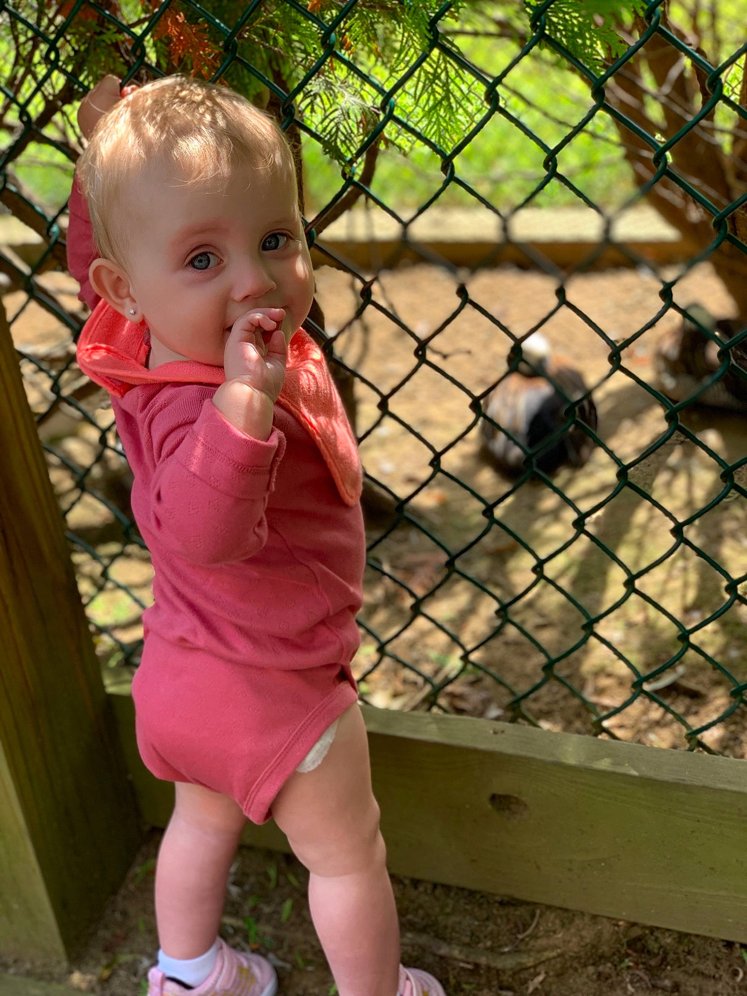 Kynzlee joined the competition — help win amazing prizes! baby, baby_products, child, joy, leg, person, pink, play, smile, toddler, vacation