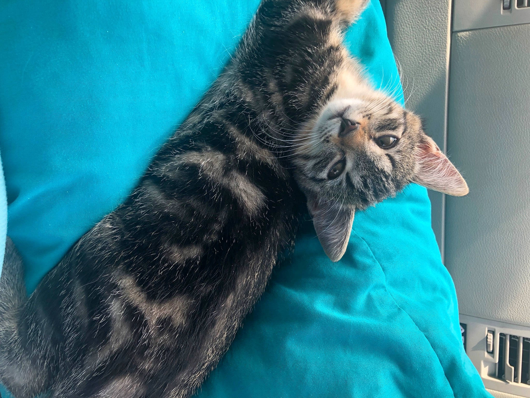 Loki
