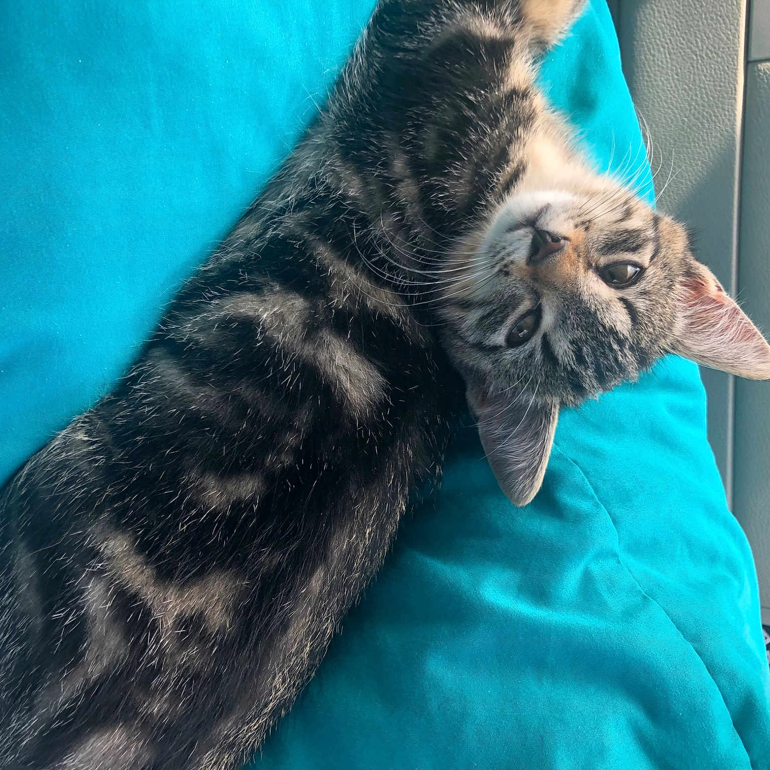Loki