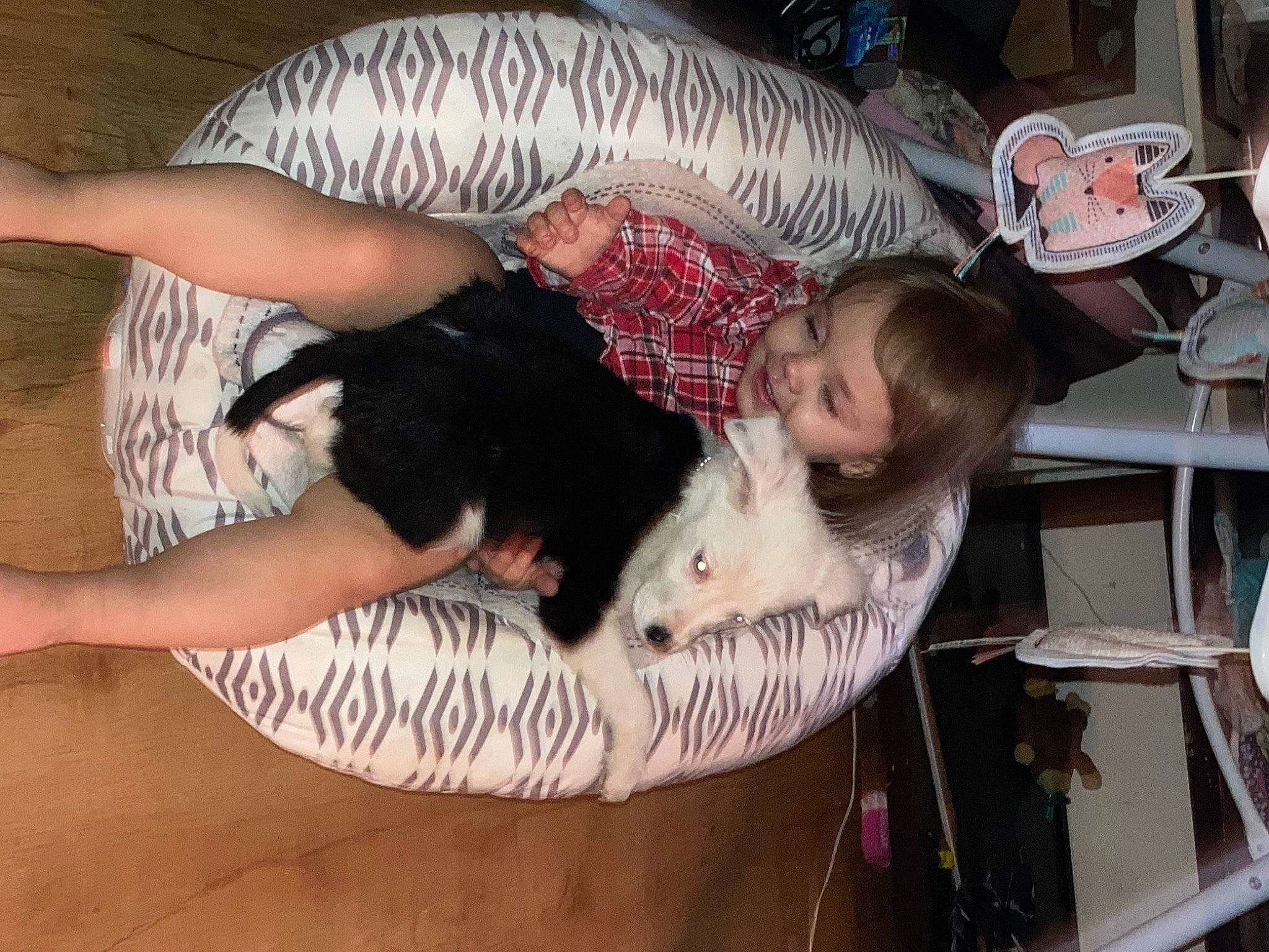 Marrisa joined the competition — help win amazing prizes! black_hair, canidae, carnivore, chair, child, comfort, companion_dog, dog, dog_breed, elbow, fawn, foot, fun, fur, joy, lap, person, sitting, sporting_group, tail