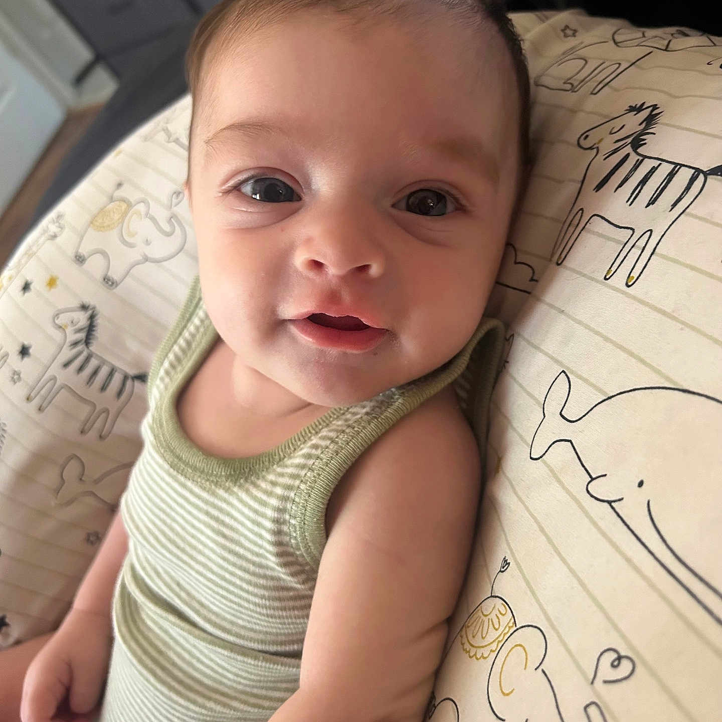 Onyx joined the competition — help win amazing prizes! baby, boy, child, clothing, cushion, face, furniture, happy, head, homedecor, male, newborn, person, photography, portrait, skin, smile, t_shirt, tanktop, text