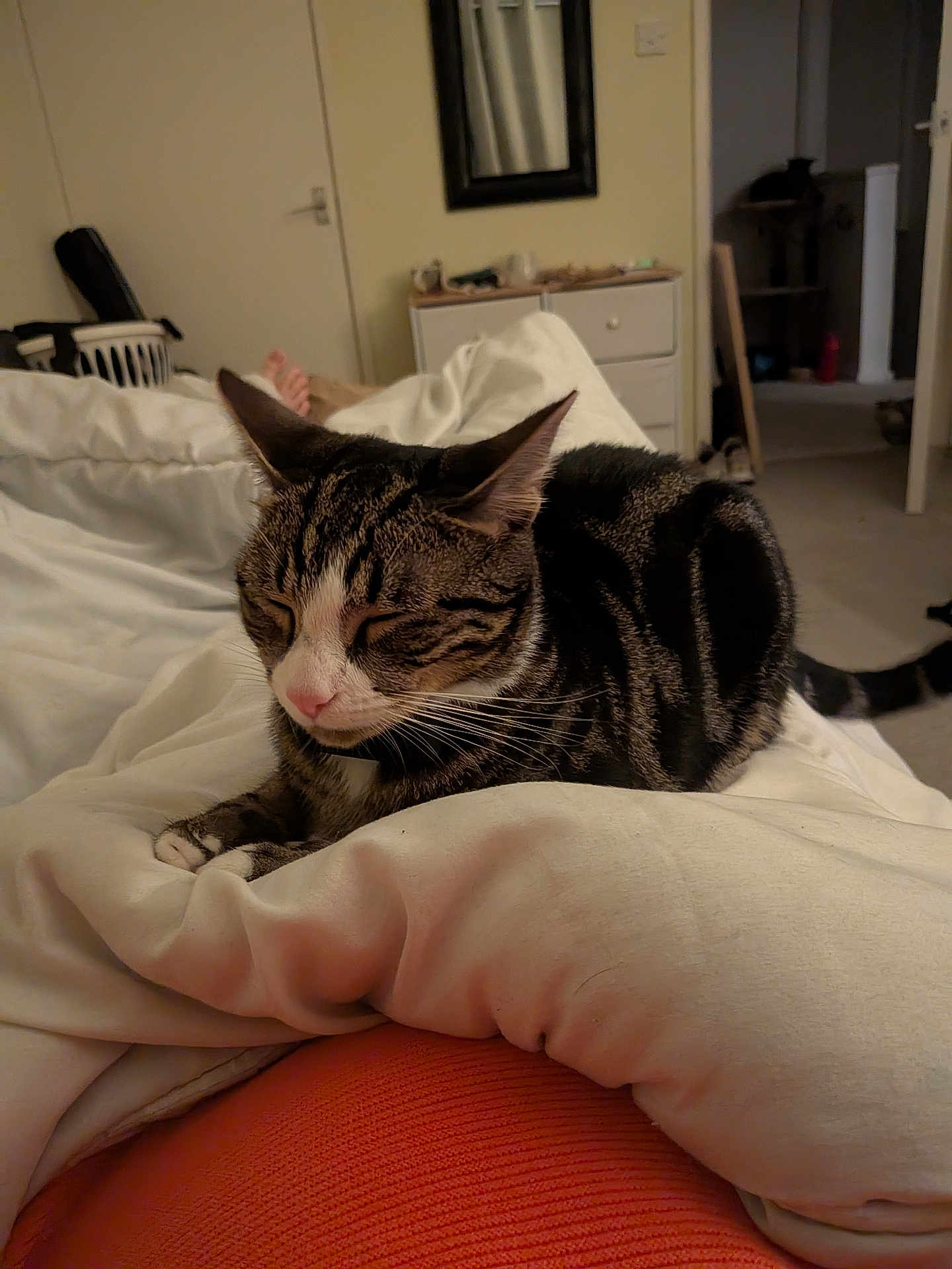 Diego