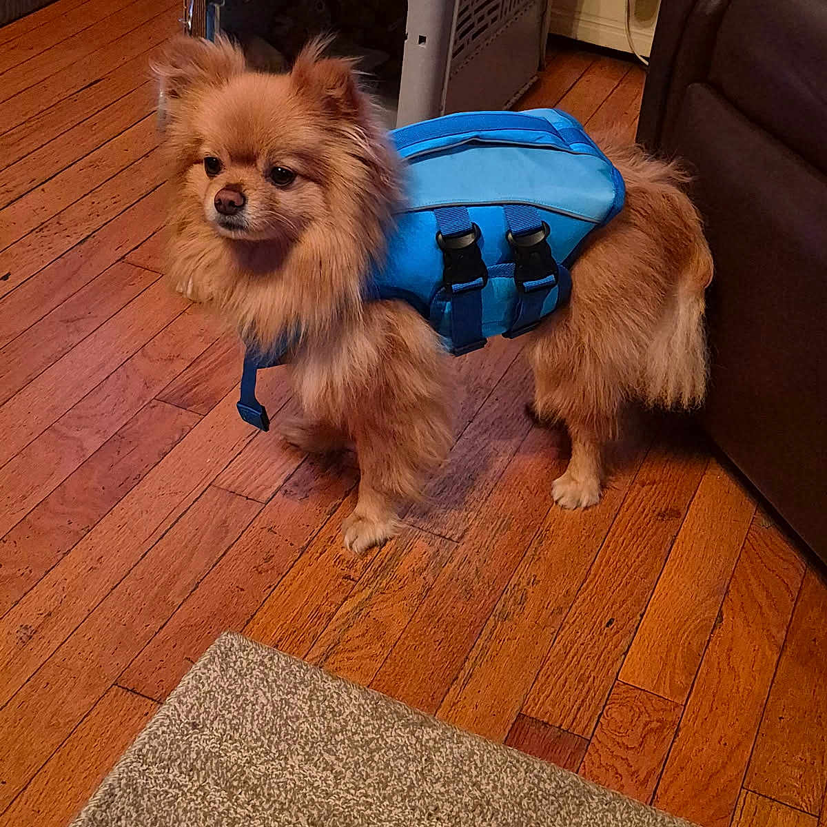 Max