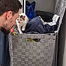 Kira participe au concours pour gagner de l'argent avec cette photo : kitten, man, laundry_basket, clothes, indoor, curious, face_to_face, hanging_hanger, floor, wooden_floor, basket, casual, person, pet, cute, home, interaction, small_animal, domestic, messy_room