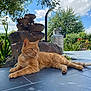 animal, cat, clouds, daylight, garden, ginger_cat, greenery, mammal, nature, outdoor, peaceful, pet, plants, relaxed, resting, sky, stone_fountain, summer, sunny, tile_floor