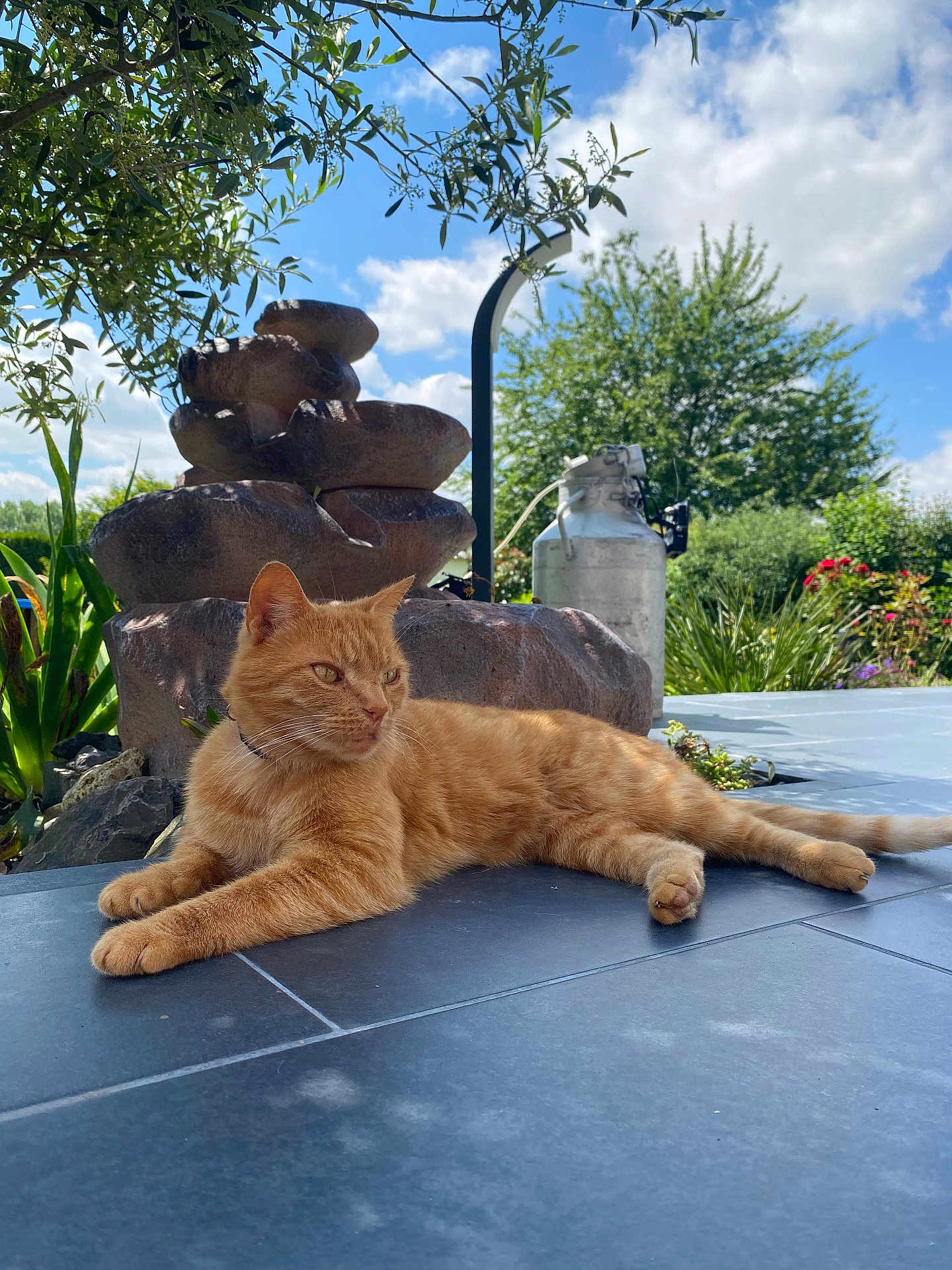 Caramel participe au concours pour gagner de l'argent avec cette photo : cat, ginger_cat, outdoor, garden, sunny, relaxed, stone_fountain, plants, sky, clouds, greenery, tile_floor, nature, pet, animal, daylight, peaceful, resting, summer, mammal