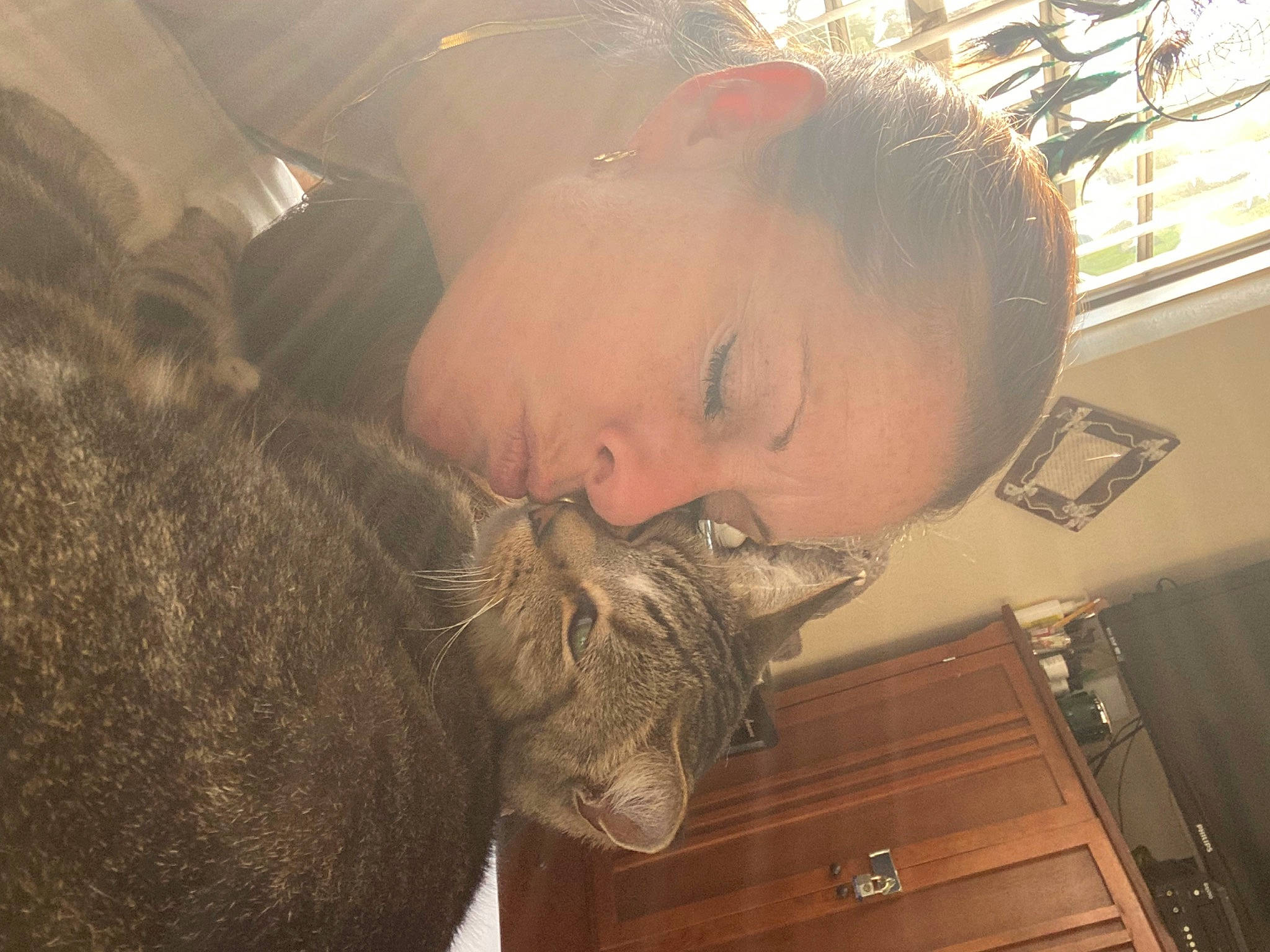 Ocean joined the competition — help win amazing prizes! carnivore, cat, comfort, dog_breed, domestic_short_haired_cat, ear, fawn, felidae, fur, happy, mammal, nose, small_to_medium_sized_cats, snout, sporting_group, tail, terrestrial_animal, vertebrate, whiskers, wood