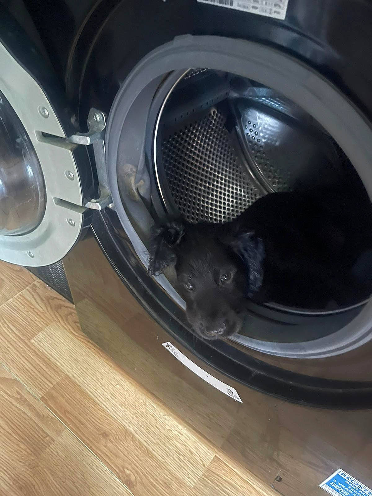 Tully is registered to the contest to win money with this photo: audio_equipment, auto_part, automotive_design, automotive_exterior, automotive_fog_light, automotive_lighting, automotive_tire, automotive_wheel_system, bumper, carbon, electronic_instrument, grille, headlamp, home_appliance, loudspeaker, major_appliance, motor_vehicle, personal_luxury_car, rim, vehicle