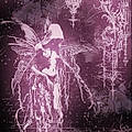 Vera S.
