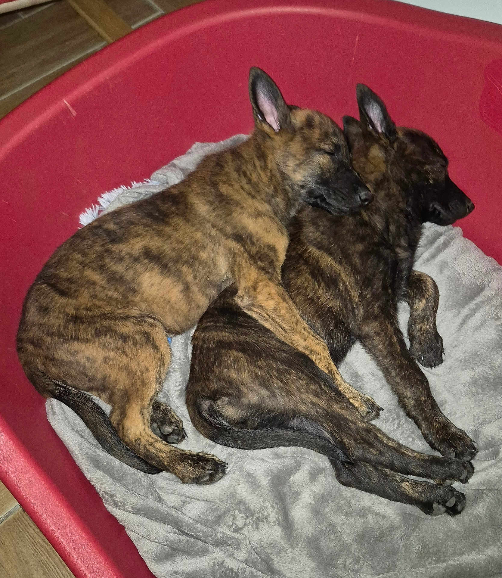 Ares Et Abyss
