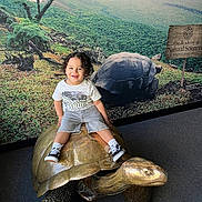 Noah joined the competition — help win amazing prizes! toddler, child, smiling, bronze_sculpture, tortoise, museum, nature_mural, greenery, indoor, casual_clothing, curly_hair, footwear, shorts, tshirt, sign, exhibit, playful, portrait, happy, floor