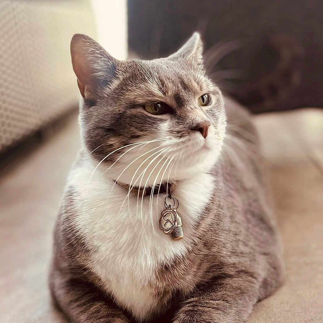 Oslo