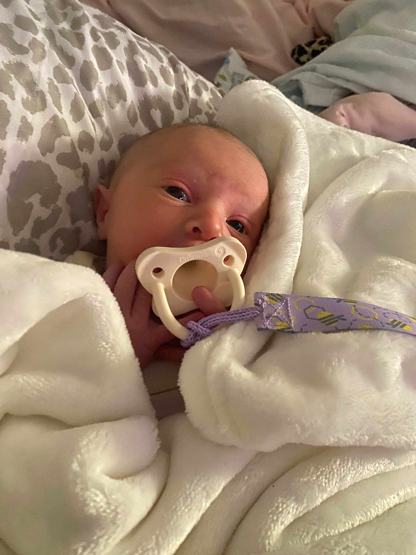 Brynleigh joined the competition — help win amazing prizes! baby, pacifier, blanket, bed, infant, purple, white, soft, cute, wrapped, cozy, newborn, sleeping, face, hand, bedroom, comfort, toddler, child, rest