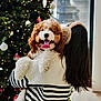 Riz is registered to the contest to win money with this photo: dog, person, christmas_tree, holiday, indoor, decorations, lights, sweater, earmuffs, brown_and_white_dog, happy, tongue_out, curly_fur, holding, back_view, long_hair, festive, seasonal, cozy, celebration