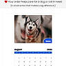 dog, siberian_husky, pet, calendar, august, 2026, smiling, indoor, wood_floor, website, blue_header, text, heart_emoji, animal, portrait, happy, fur, pawidols, photo, name_tag