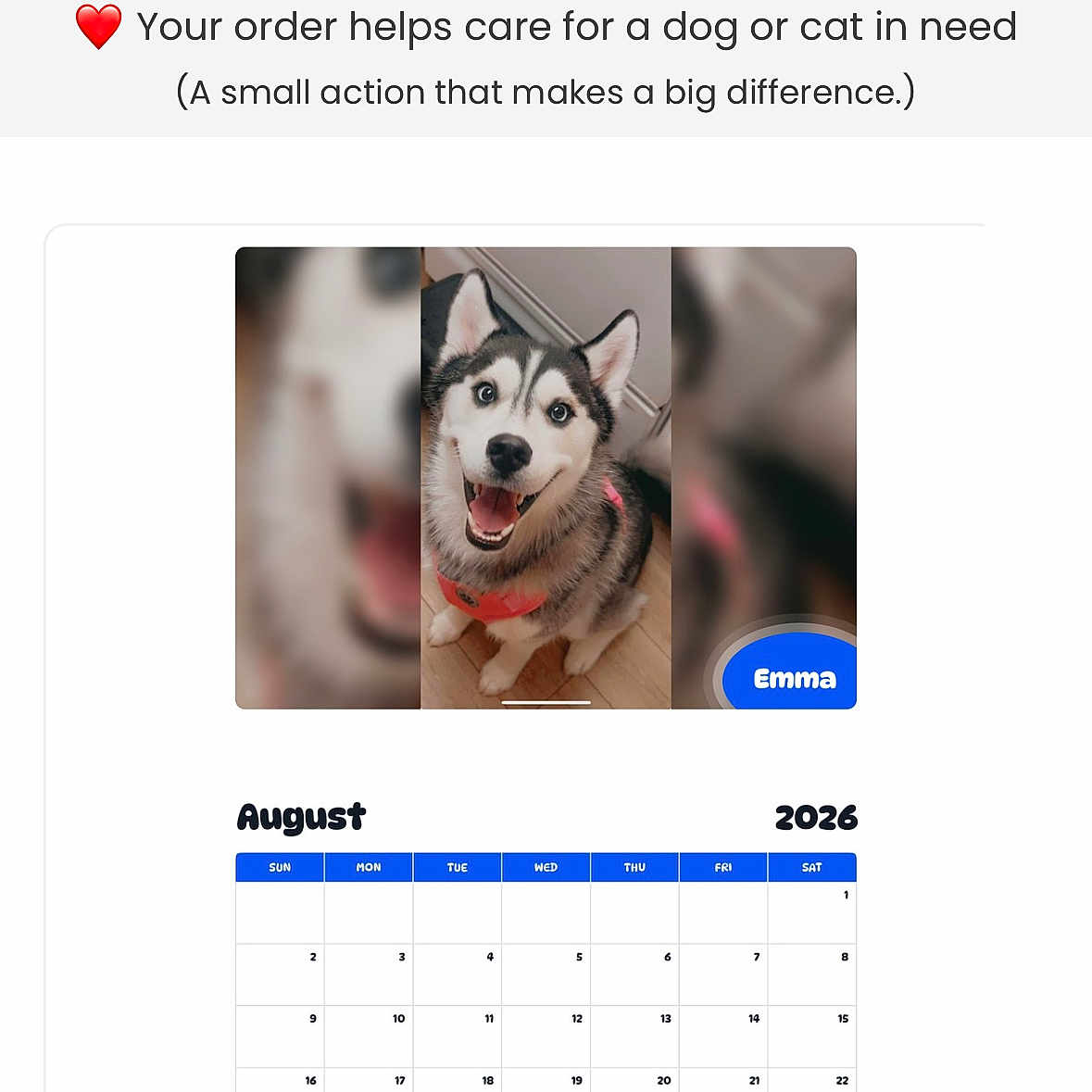 Emma Woods is registered to the contest to win money with this photo: dog, siberian_husky, pet, calendar, august, 2026, smiling, indoor, wood_floor, website, blue_header, text, heart_emoji, animal, portrait, happy, fur, pawidols, photo, name_tag