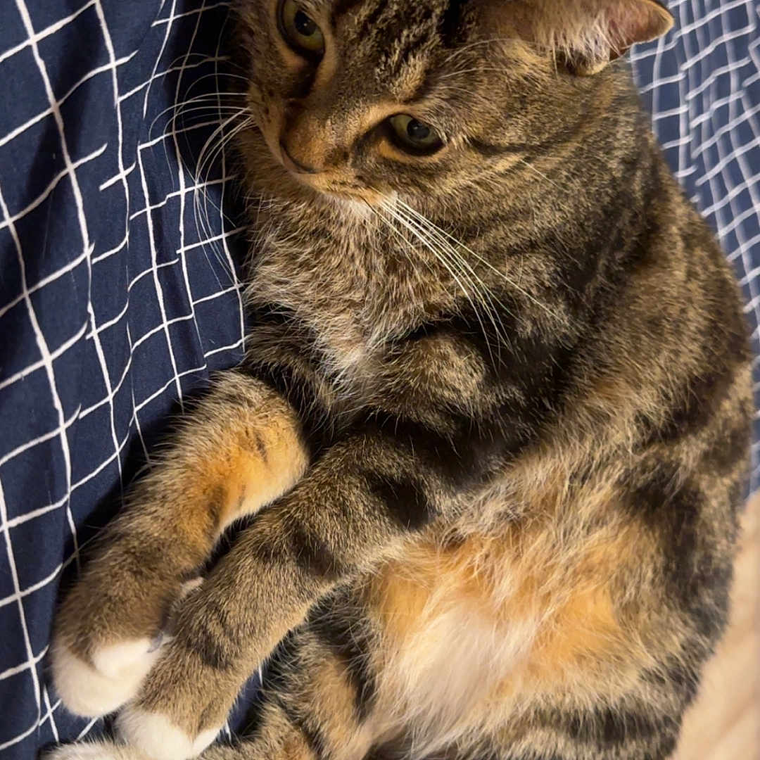 Bianca