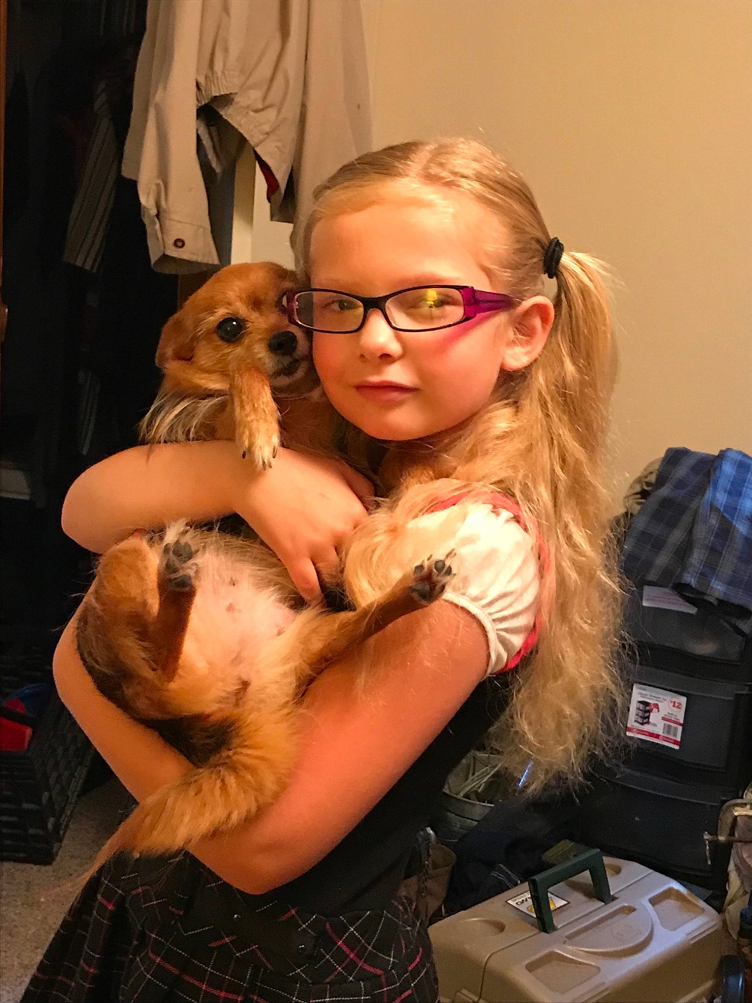 Raylin is registered to the contest to win money with this photo: canidae, companion_dog, fawn, person, pomeranian